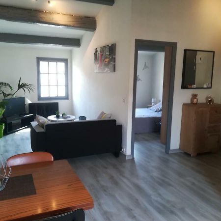 Appartement "Le Passage" 50 Passage De L'Ancien Courrier Нарбон Екстериор снимка