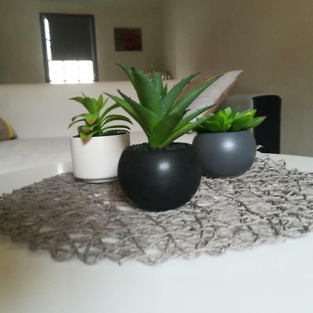 Appartement "Le Passage" 50 Passage De L'Ancien Courrier Нарбон Екстериор снимка