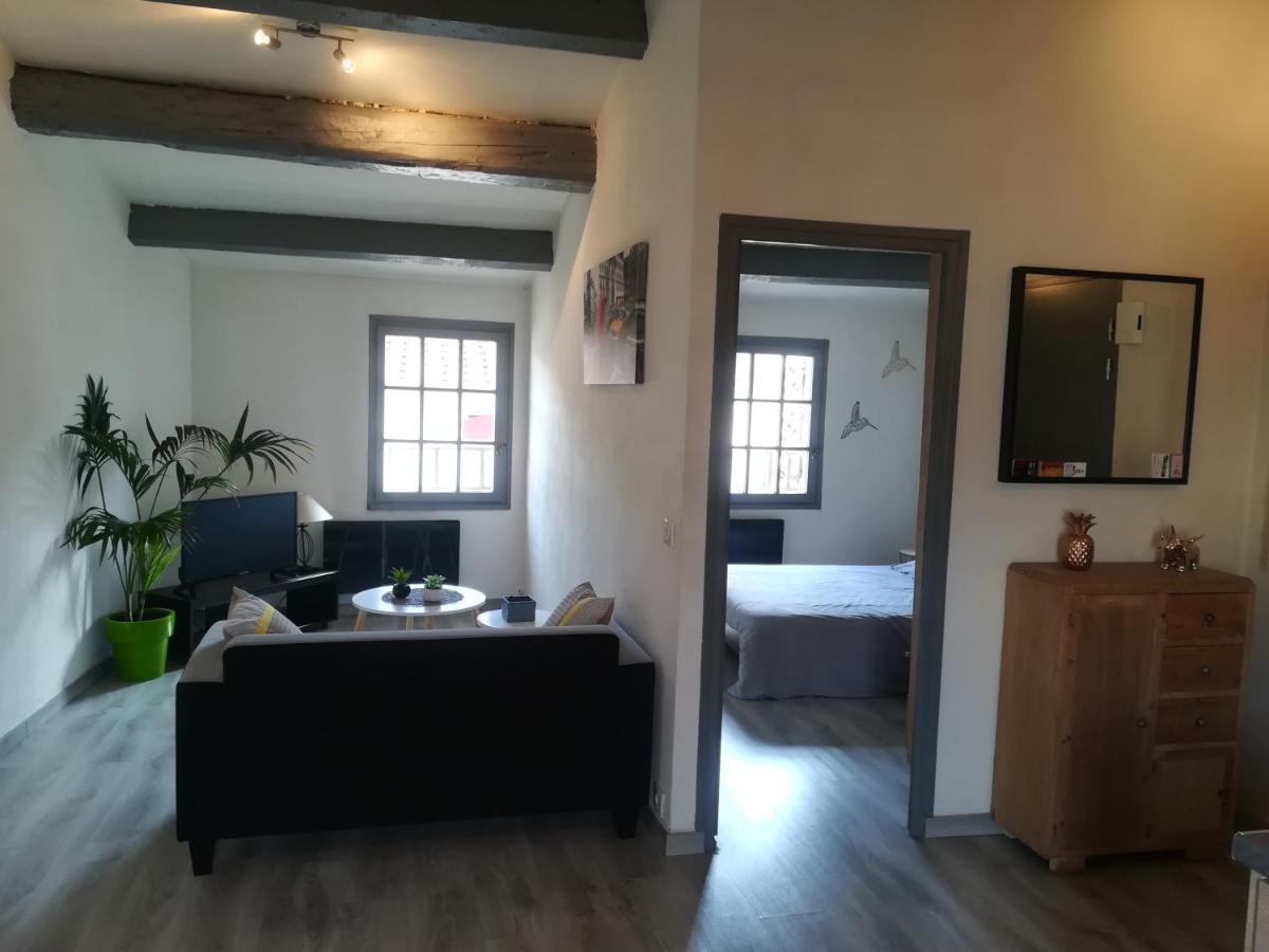 Appartement "Le Passage" 50 Passage De L'Ancien Courrier Нарбон Екстериор снимка