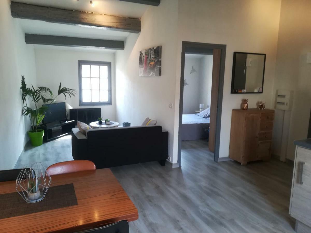 Appartement "Le Passage" 50 Passage De L'Ancien Courrier Нарбон Екстериор снимка