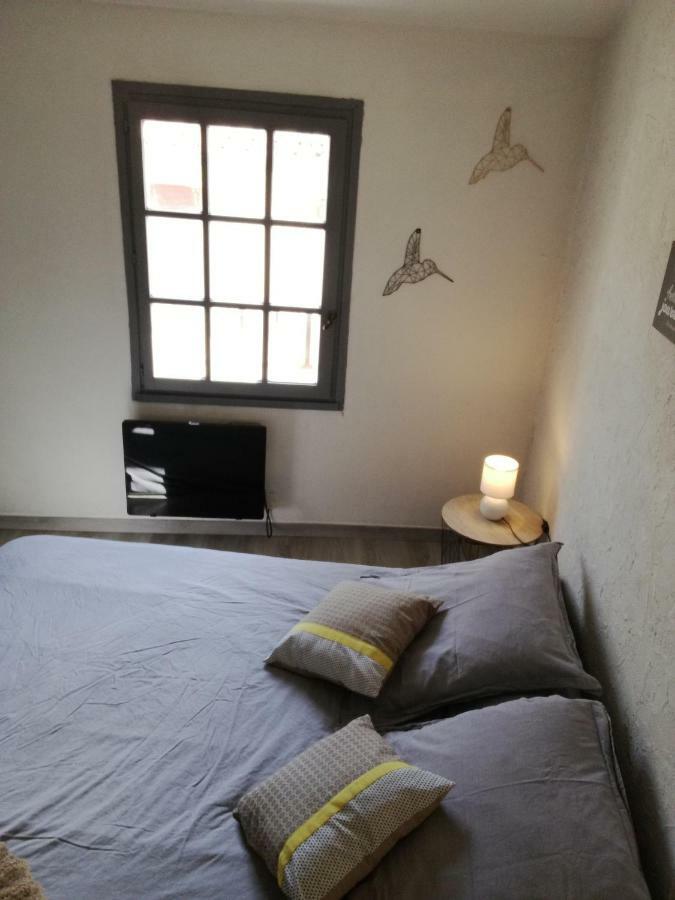 Appartement "Le Passage" 50 Passage De L'Ancien Courrier Нарбон Екстериор снимка