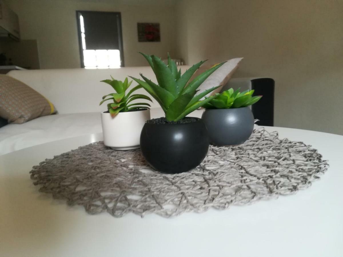Appartement "Le Passage" 50 Passage De L'Ancien Courrier Нарбон Екстериор снимка