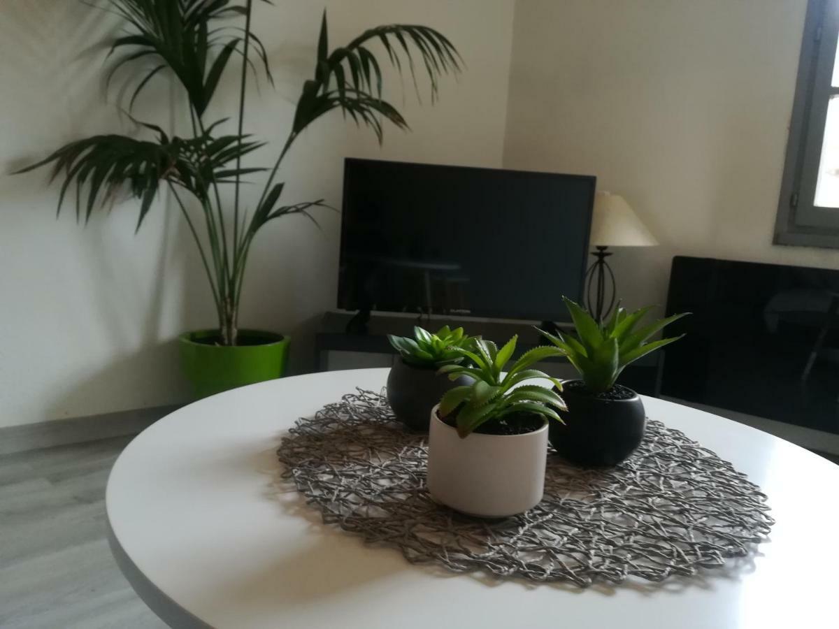 Appartement "Le Passage" 50 Passage De L'Ancien Courrier Нарбон Екстериор снимка