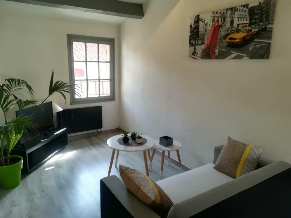 Appartement "Le Passage" 50 Passage De L'Ancien Courrier Нарбон Екстериор снимка