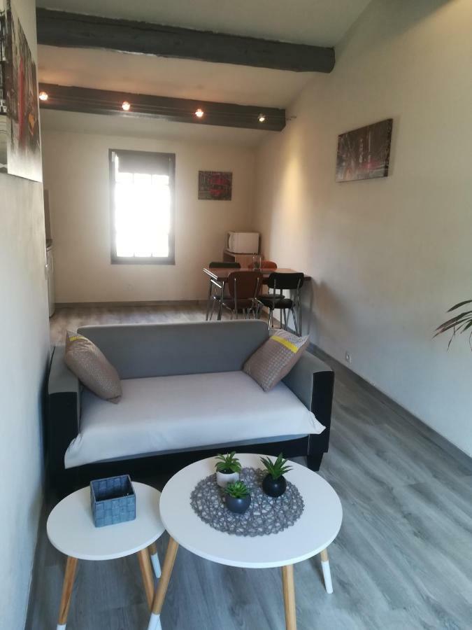 Appartement "Le Passage" 50 Passage De L'Ancien Courrier Нарбон Екстериор снимка